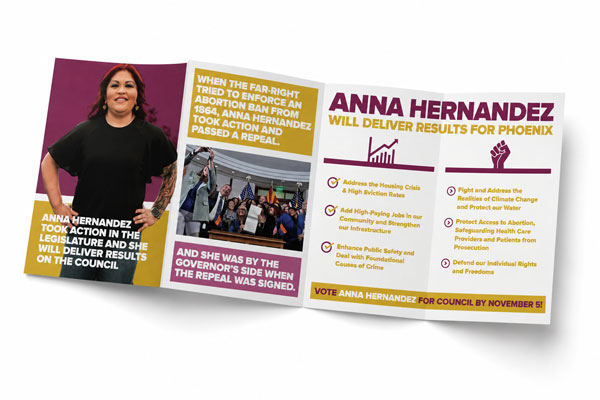 Foldout persuasion campaign mailer system