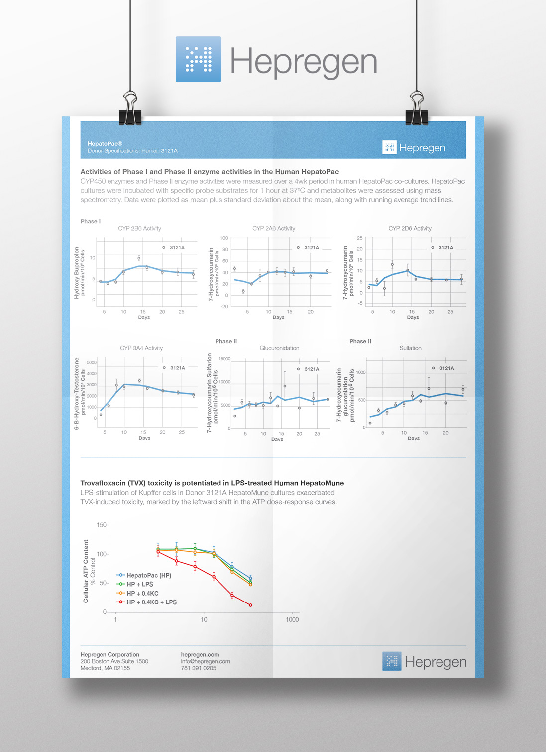 Research Visualization Poster