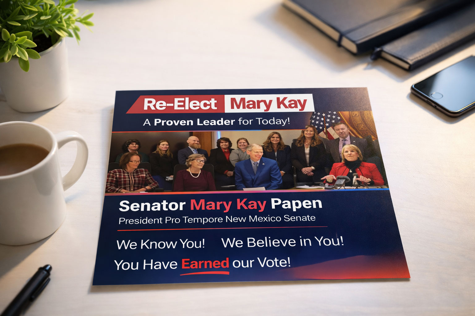 Political Campaign Mailer